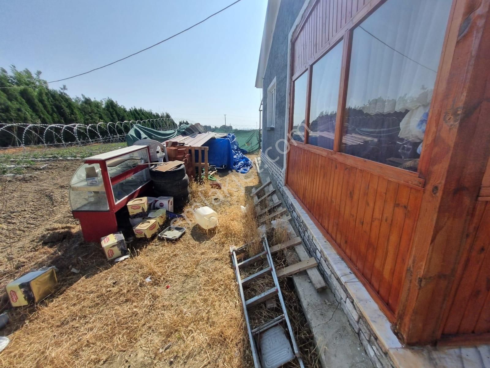 Muttalip, Koyunlar Mahallesinde, Satılık Çiftlik - Görsel 25