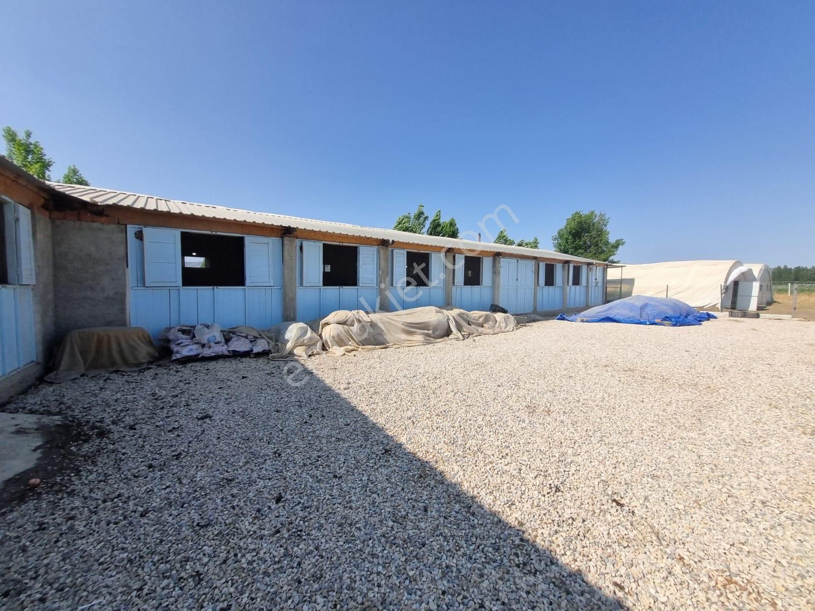 Muttalip, Koyunlar Mahallesinde, Satılık Çiftlik - Görsel 28