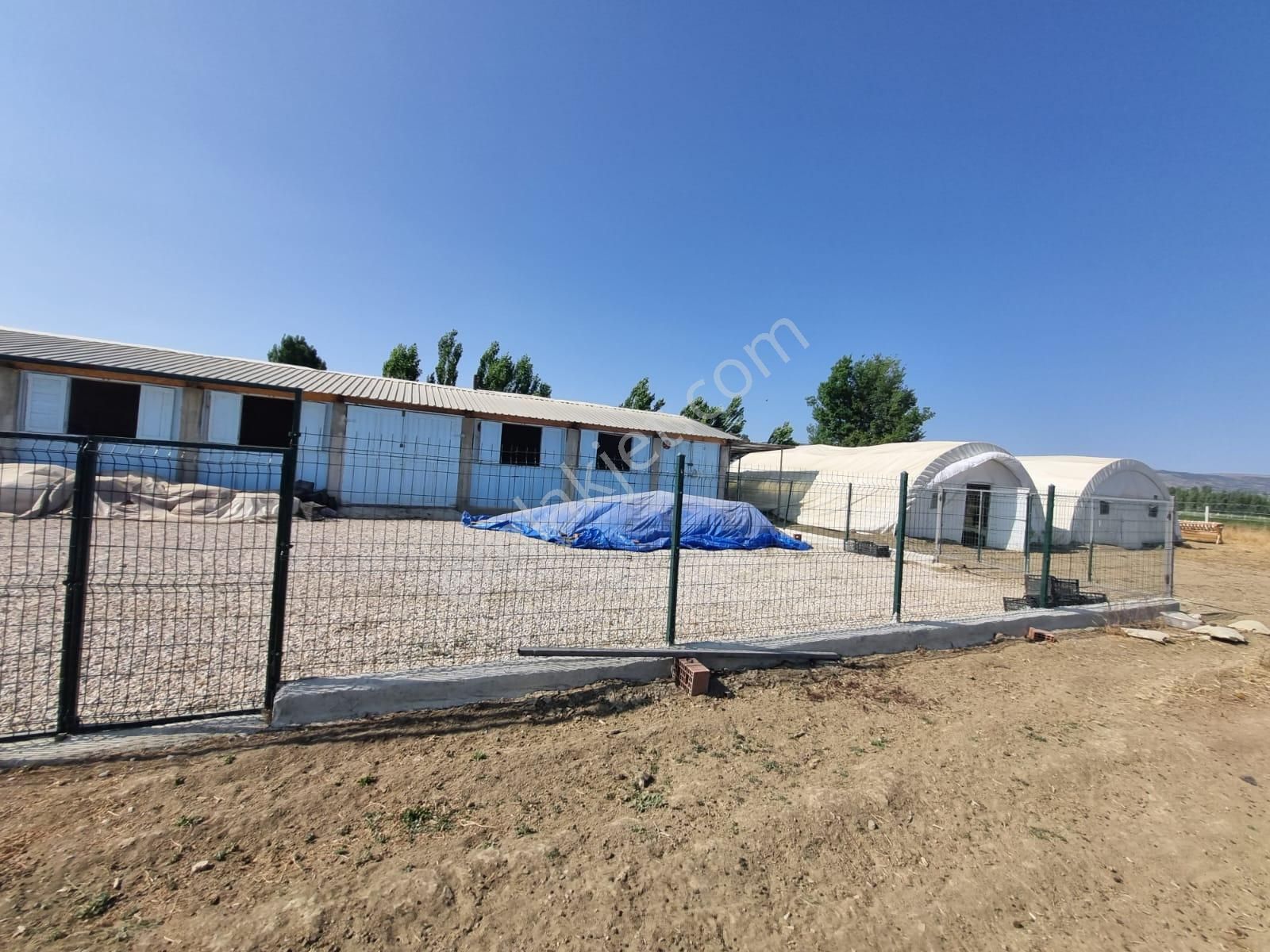 Muttalip, Koyunlar Mahallesinde, Satılık Çiftlik - Görsel 31