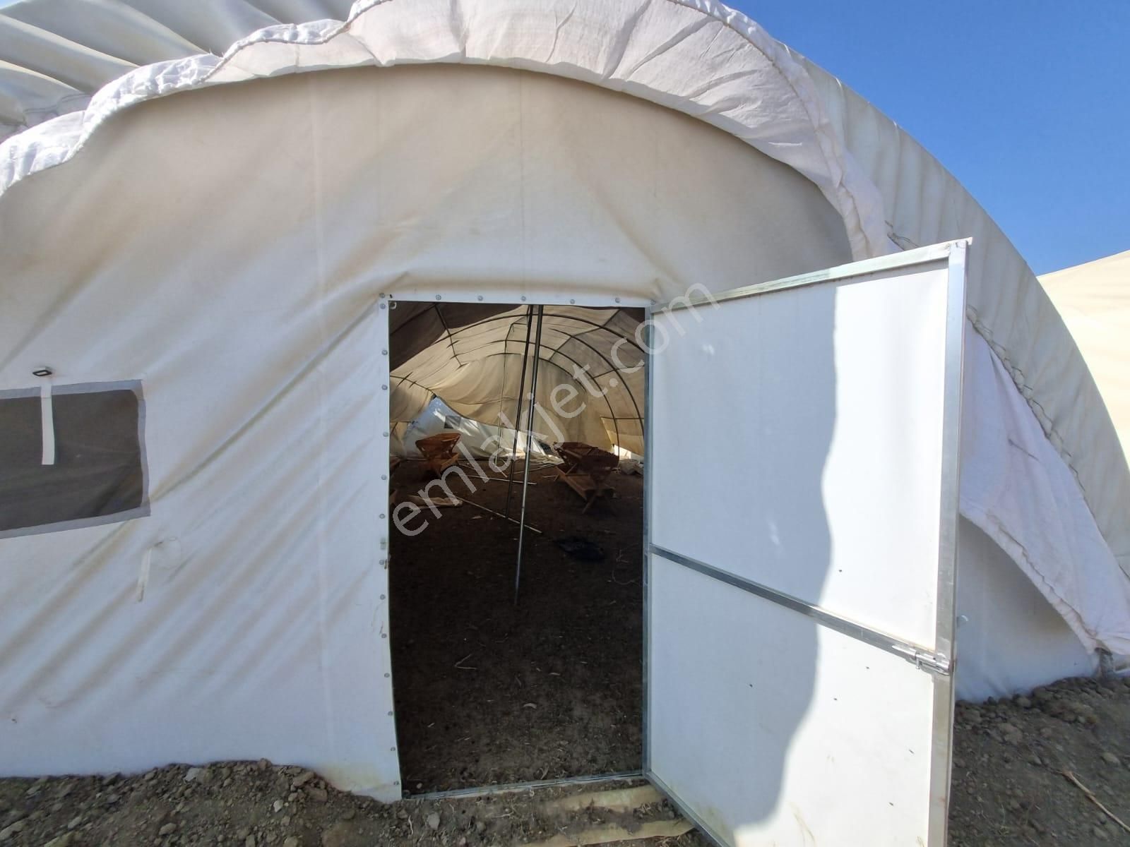 Muttalip, Koyunlar Mahallesinde, Satılık Çiftlik - Görsel 33