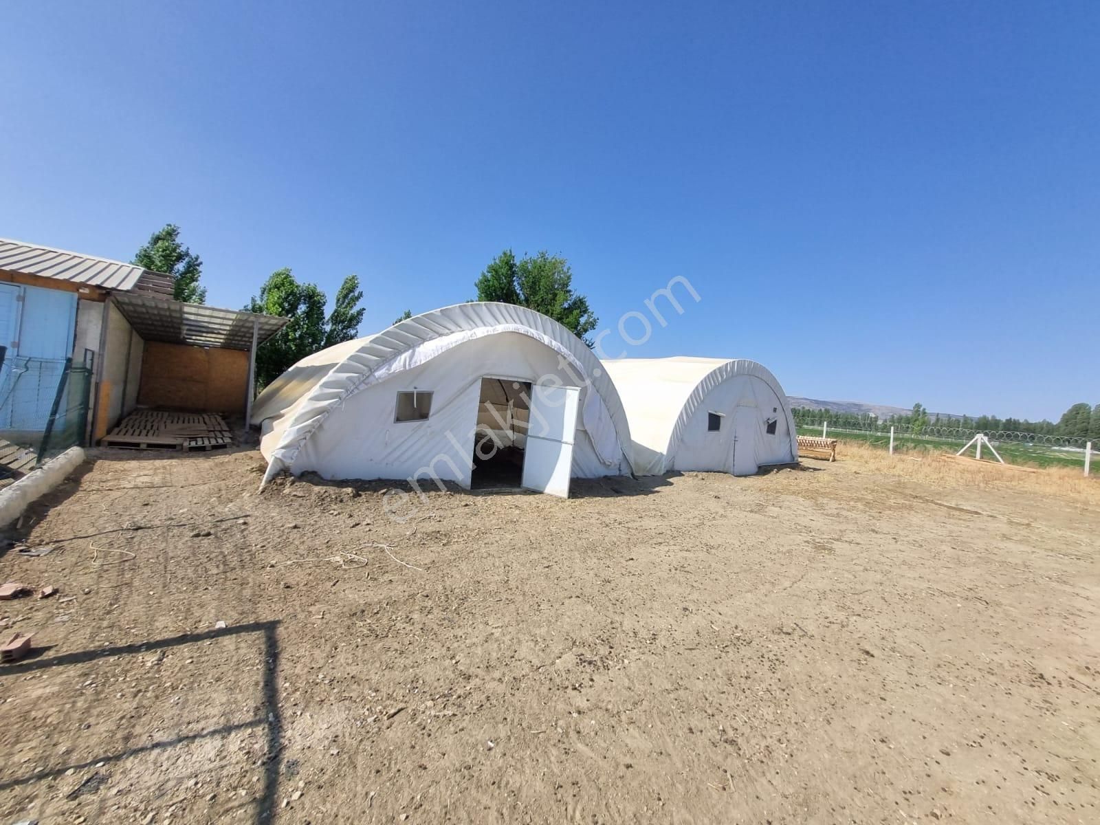 Muttalip, Koyunlar Mahallesinde, Satılık Çiftlik - Görsel 34