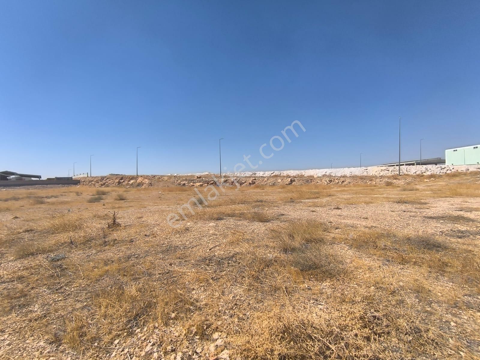 World İlkevim'den Organize Besi’de Yatırımlık Çiftlik Arsası! - Görsel 13