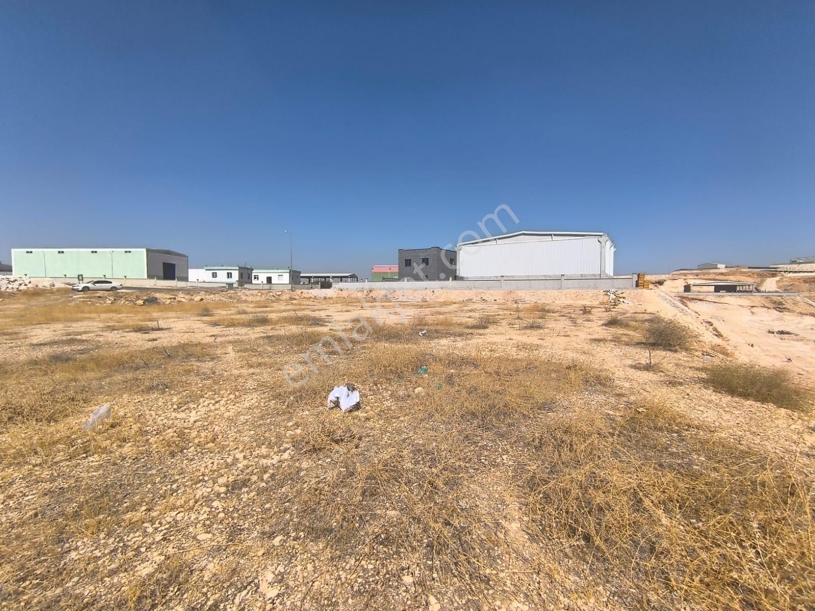 World İlkevim'den Organize Besi’de Yatırımlık Çiftlik Arsası!