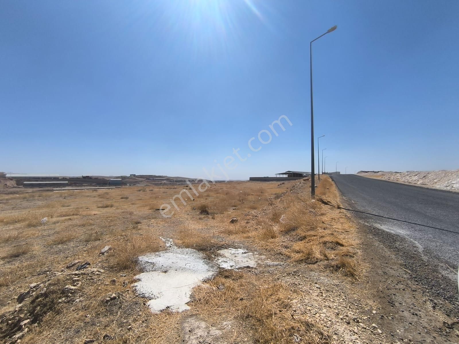 World İlkevim'den Organize Besi’de Yatırımlık Çiftlik Arsası! - Görsel 11