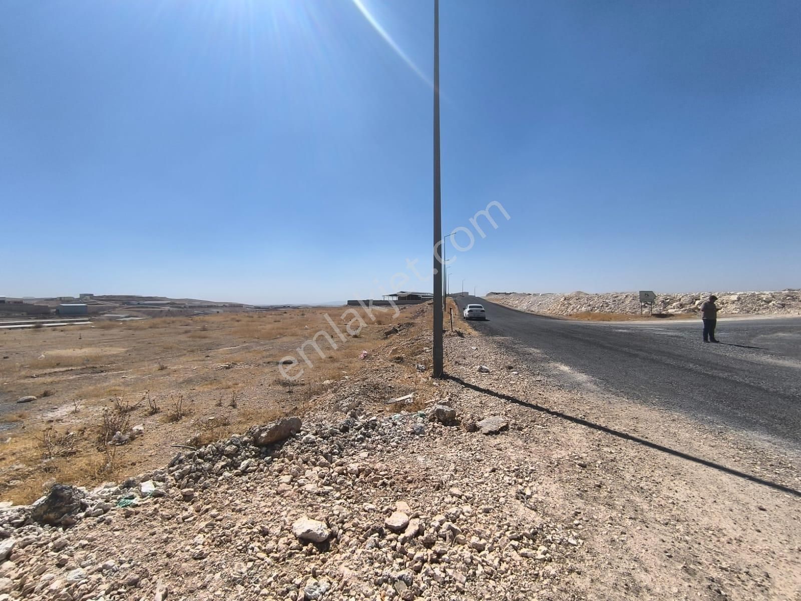 World İlkevim'den Organize Besi’de Yatırımlık Çiftlik Arsası! - Görsel 4