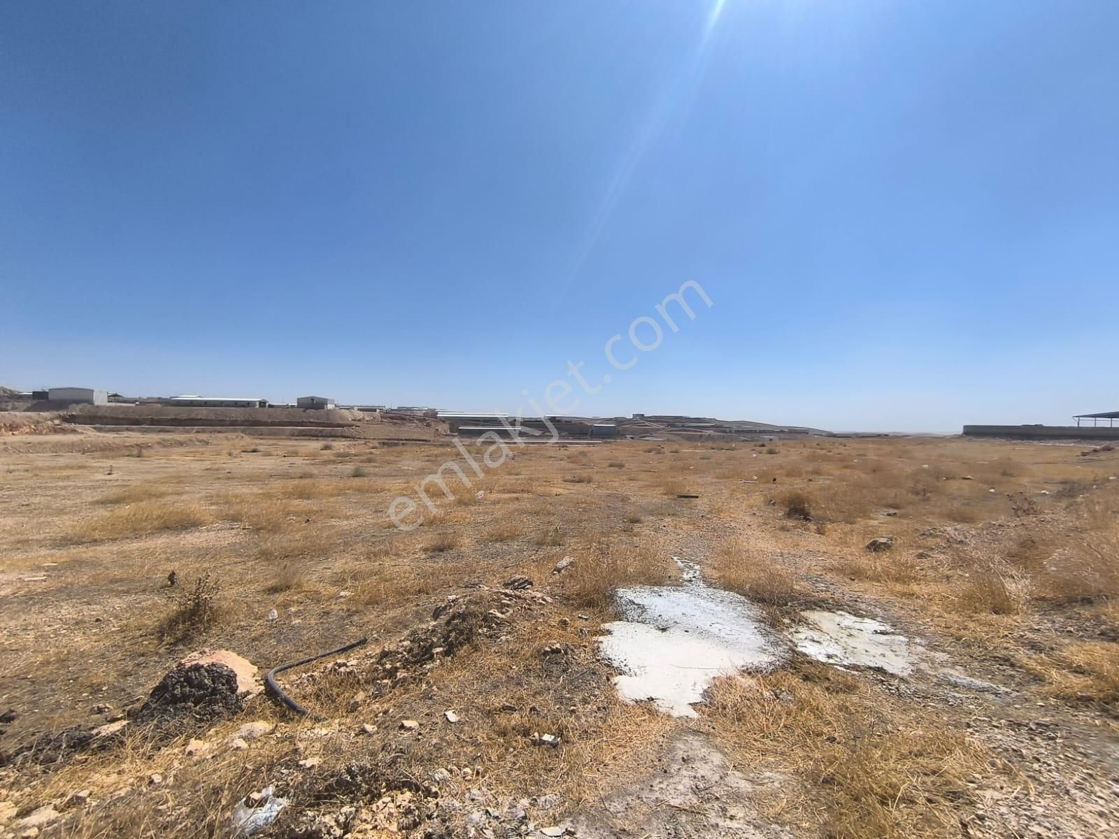 World İlkevim'den Organize Besi’de Yatırımlık Çiftlik Arsası! - Görsel 10