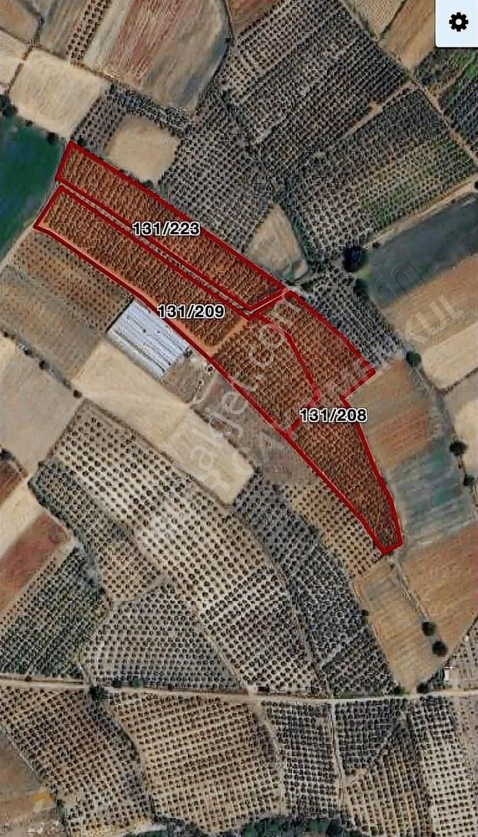 Seydikemer Kabaağaç Tek Tapu Yatırımlık Arazi - Görsel 2
