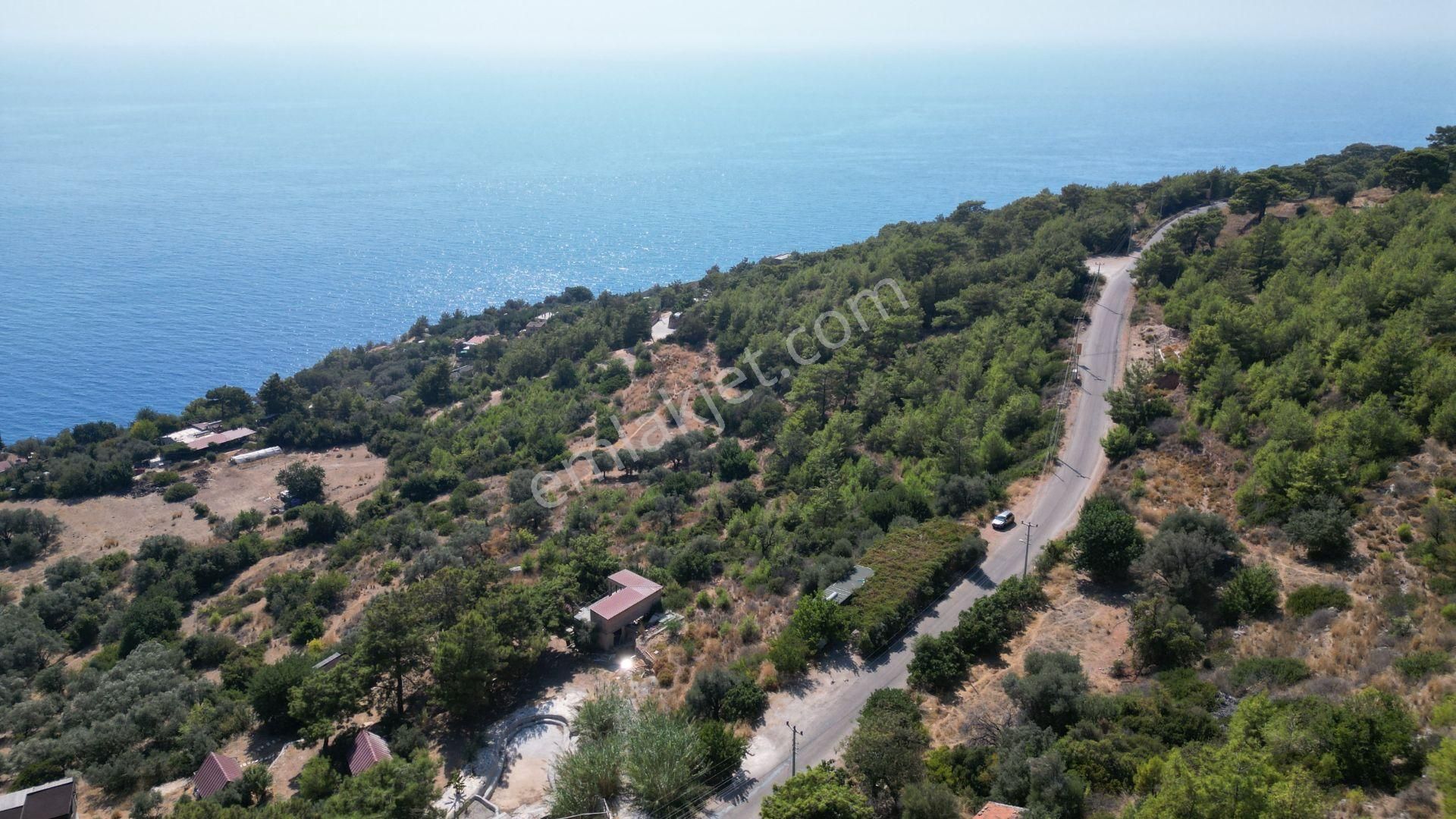 Goldhouse Dan Kabak Koyunda Komple Deniz Manzaralı Anayol Üstünde 7278 M2 Tarla - Görsel 5
