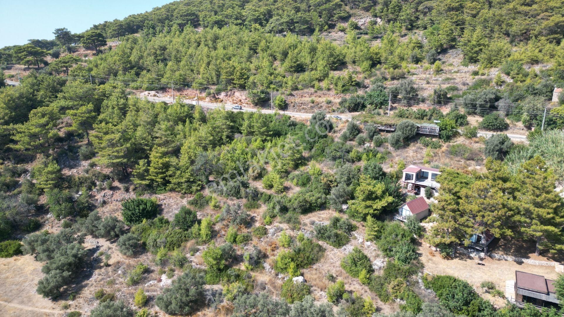 Goldhouse Dan Kabak Koyunda Komple Deniz Manzaralı Anayol Üstünde 7278 M2 Tarla - Görsel 3