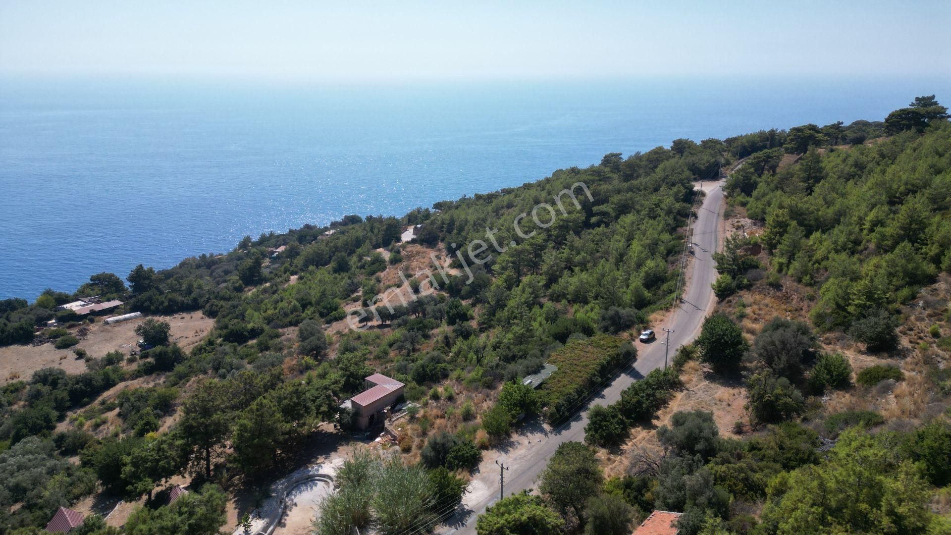 Goldhouse Dan Kabak Koyunda Komple Deniz Manzaralı Anayol Üstünde 7278 M2 Tarla - Görsel 4