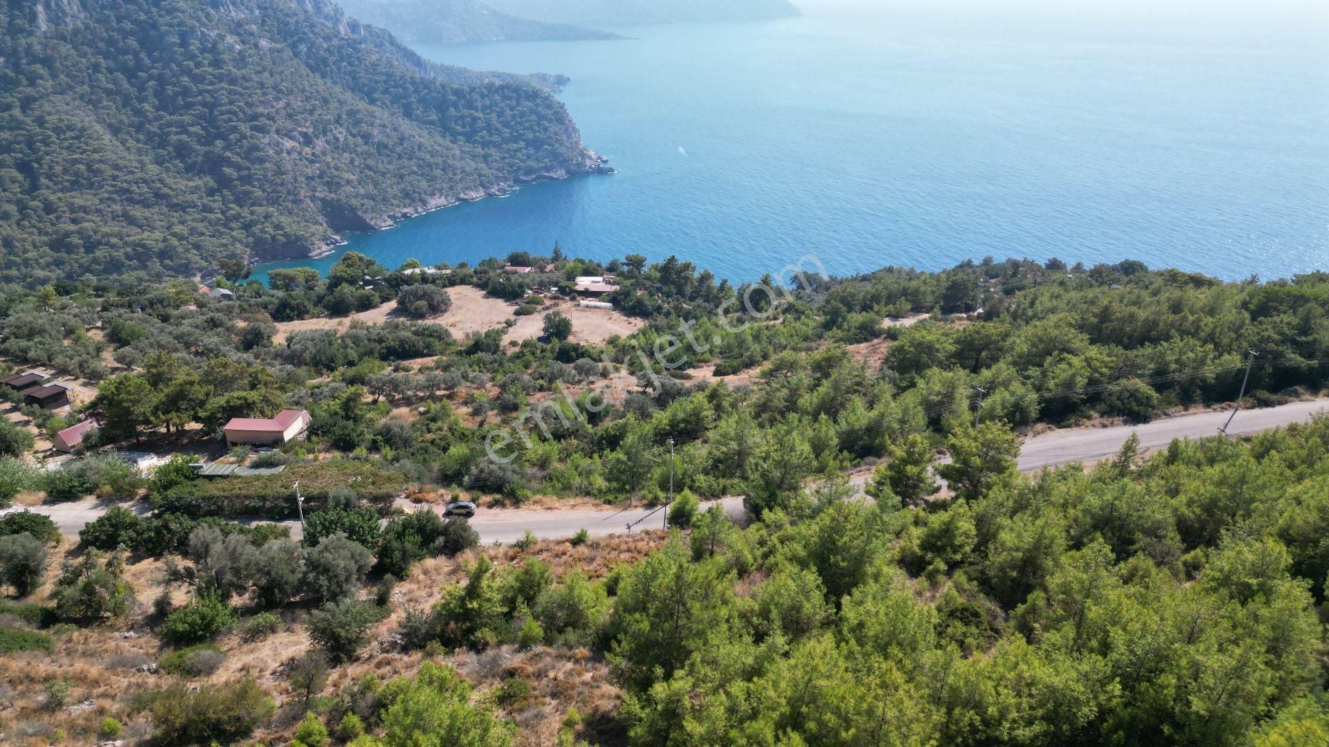 Goldhouse Dan Kabak Koyunda Komple Deniz Manzaralı Anayol Üstünde 7278 M2 Tarla