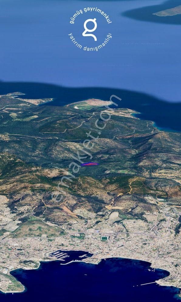 Bodrum Konacık’ta Pedasa Antik Kentine Yakın Zeytinlik - Görsel 5