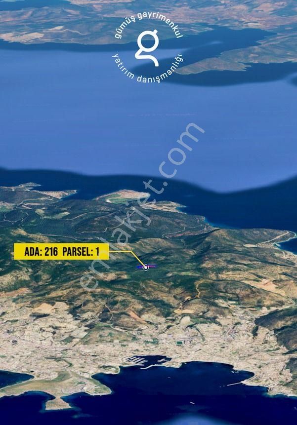 Bodrum Konacık’ta Pedasa Antik Kentine Yakın Zeytinlik - Görsel 2