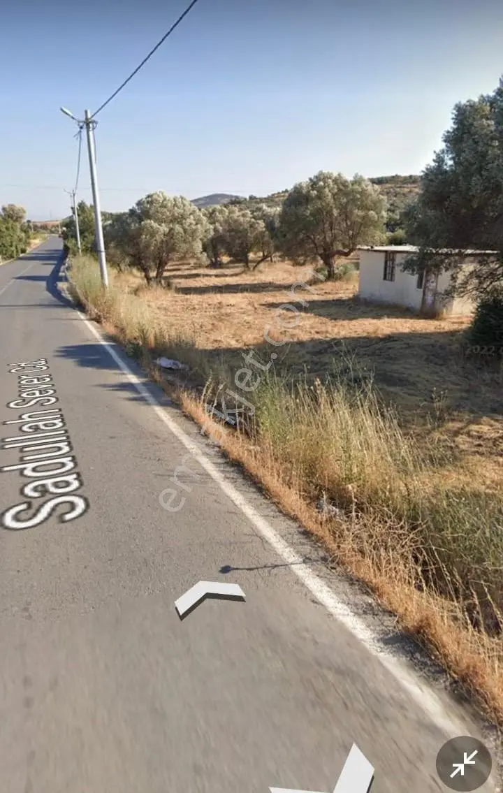 Yenifoça Bucak Mevkiinde Asfalta Cepheli Satılık Tarla - Görsel 2