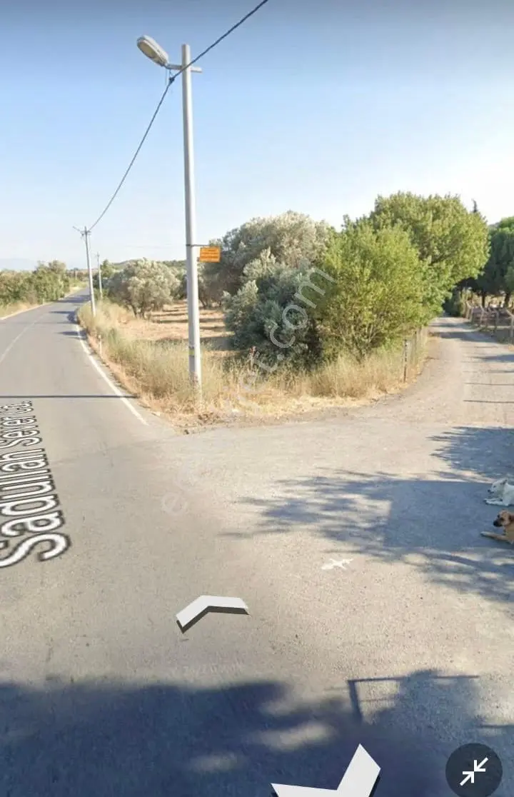Yenifoça Bucak Mevkiinde Asfalta Cepheli Satılık Tarla - Görsel 3