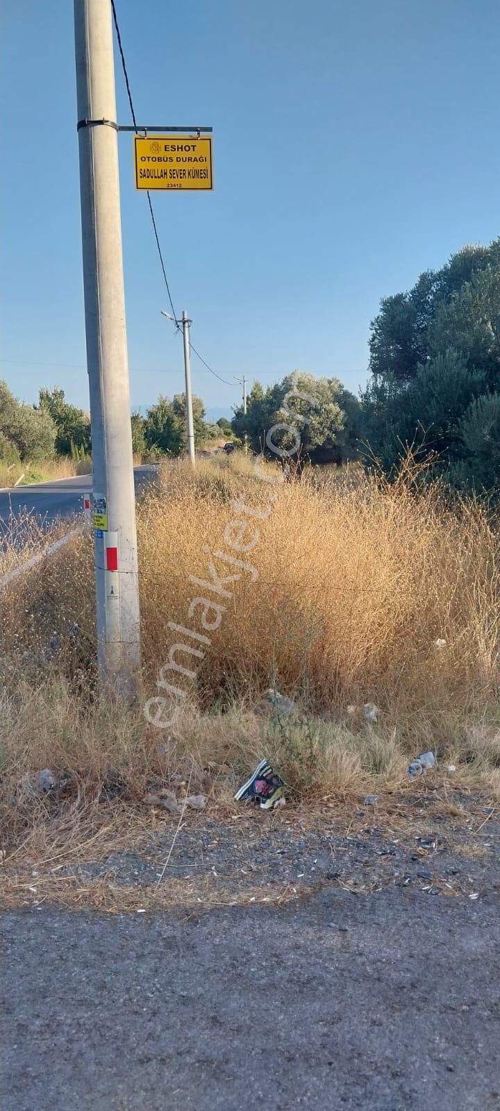 Yenifoça Bucak Mevkiinde Asfalta Cepheli Satılık Tarla - Görsel 11
