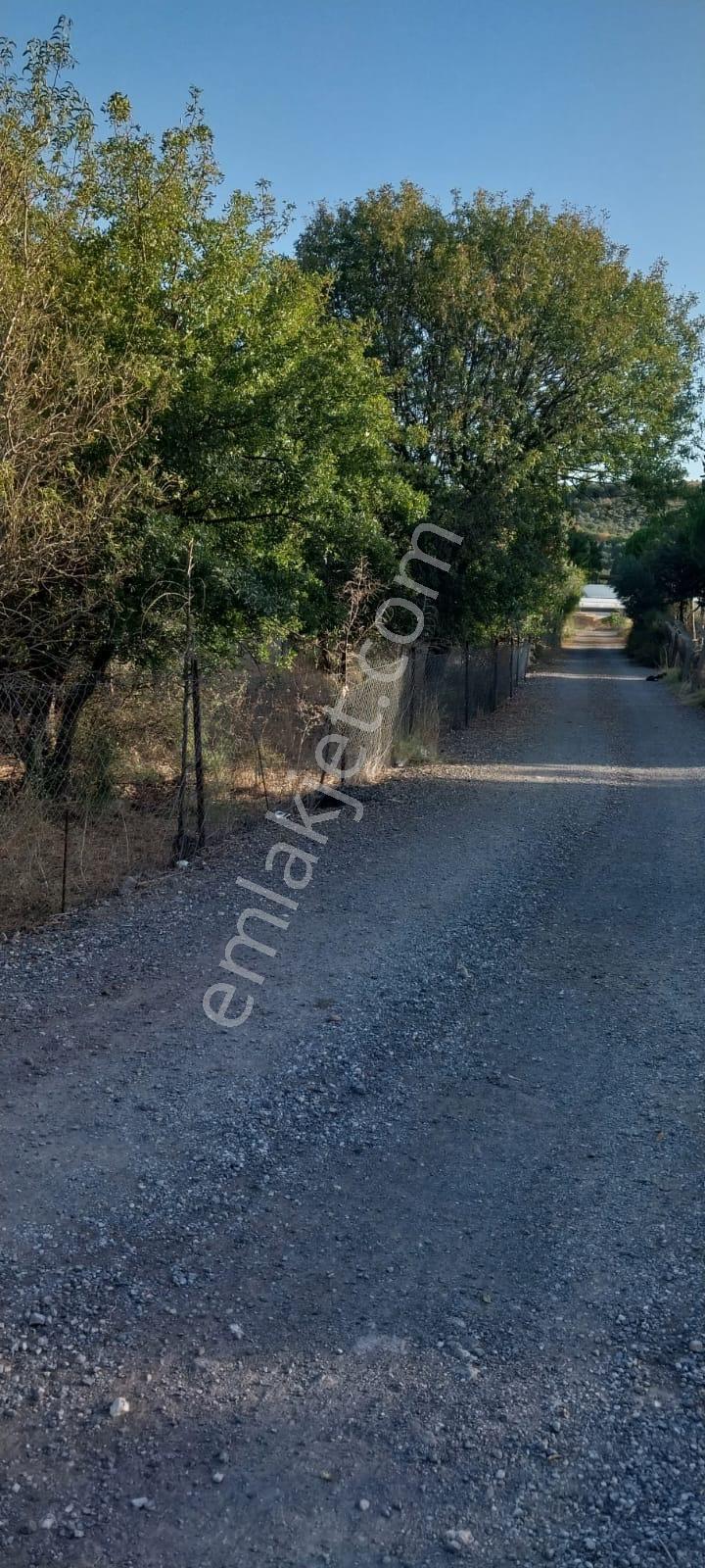 Yenifoça Bucak Mevkiinde Asfalta Cepheli Satılık Tarla - Görsel 9