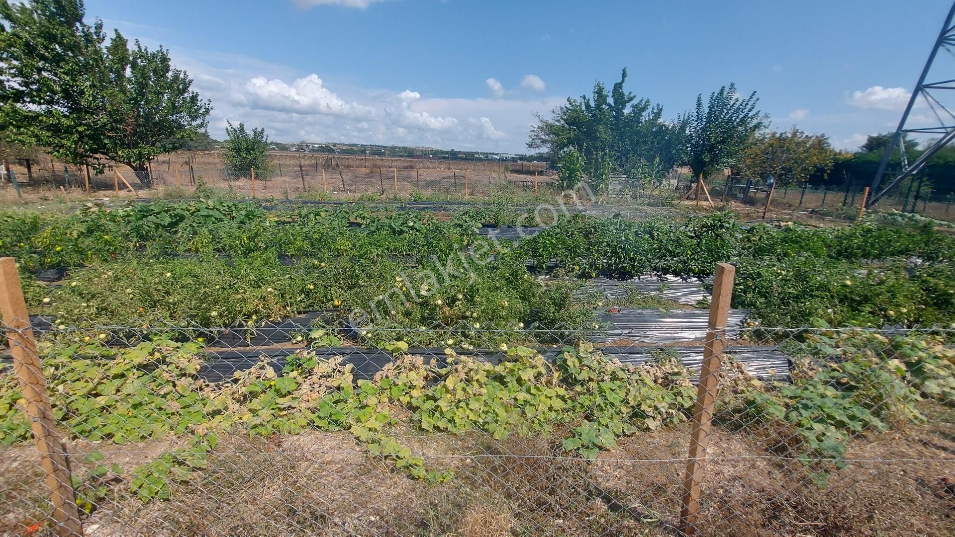 Çatalca İzzettin Mah Site İçerisinde Komple Yenilenmiş Satılık Dublex Villa - Görsel 7
