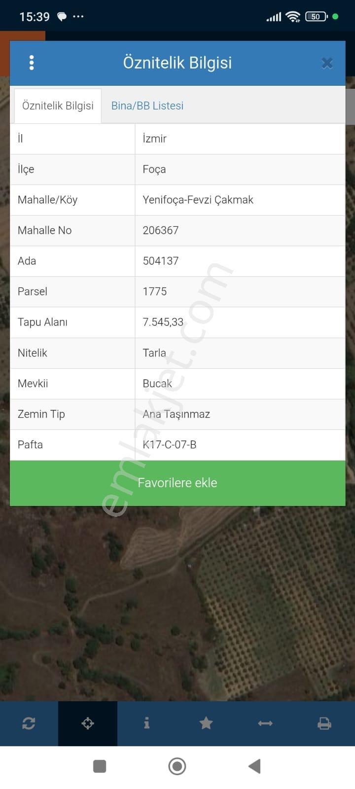 Yenifoça Bucak Mevkiinde Satılık Zeytinli Tarla - Görsel 3