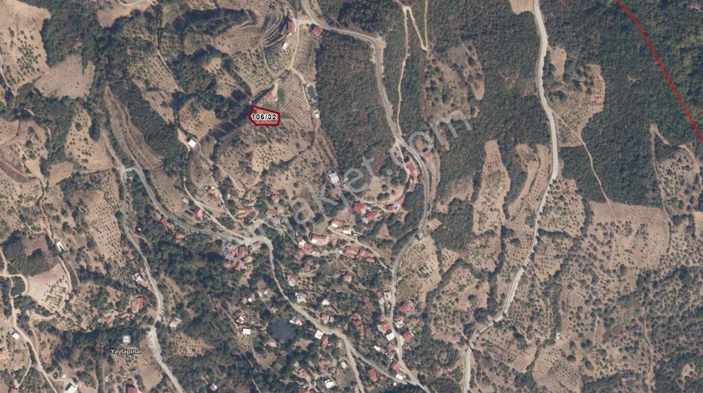 Nazilli Yaylapınar Mahallesinde Satılık Köyiçi Arsa...