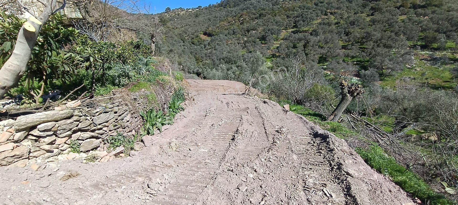 Milas Karapınar Mahallesinde Satılık İmarlı Arsa - Görsel 5