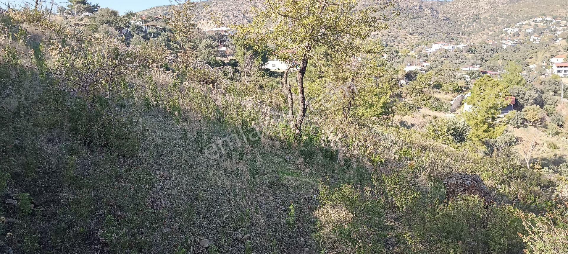 Bodrum Mazı Mahallesinde Satılık Tarla - Görsel 5