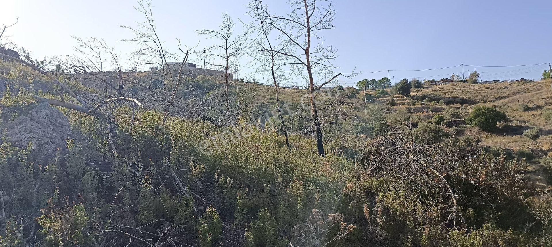 Bodrum Mazı Mahallesinde Satılık Tarla - Görsel 12