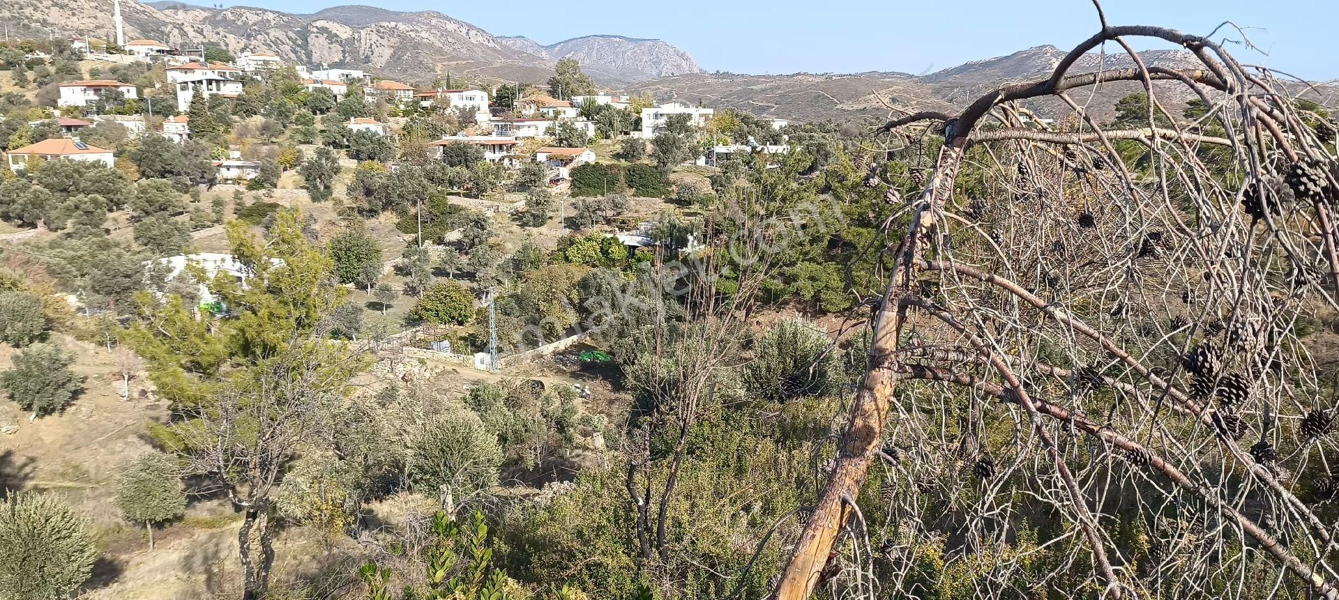 Bodrum Mazı Mahallesinde Satılık Tarla - Görsel 7