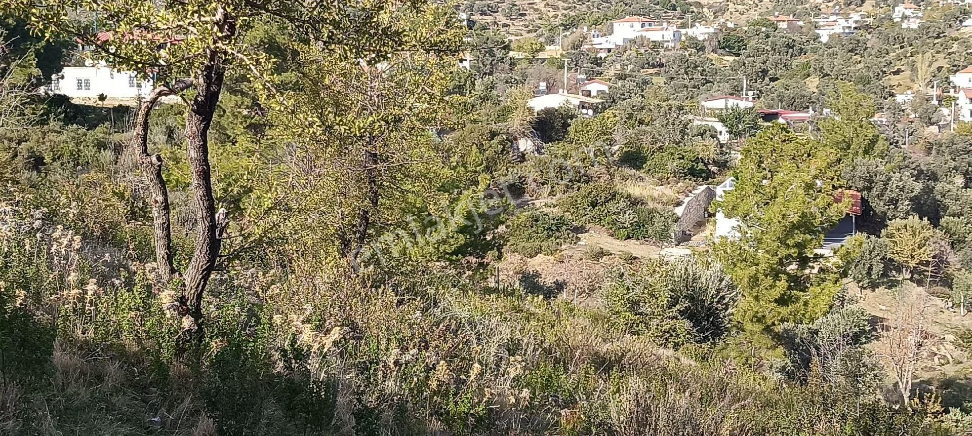 Bodrum Mazı Mahallesinde Satılık Tarla - Görsel 6