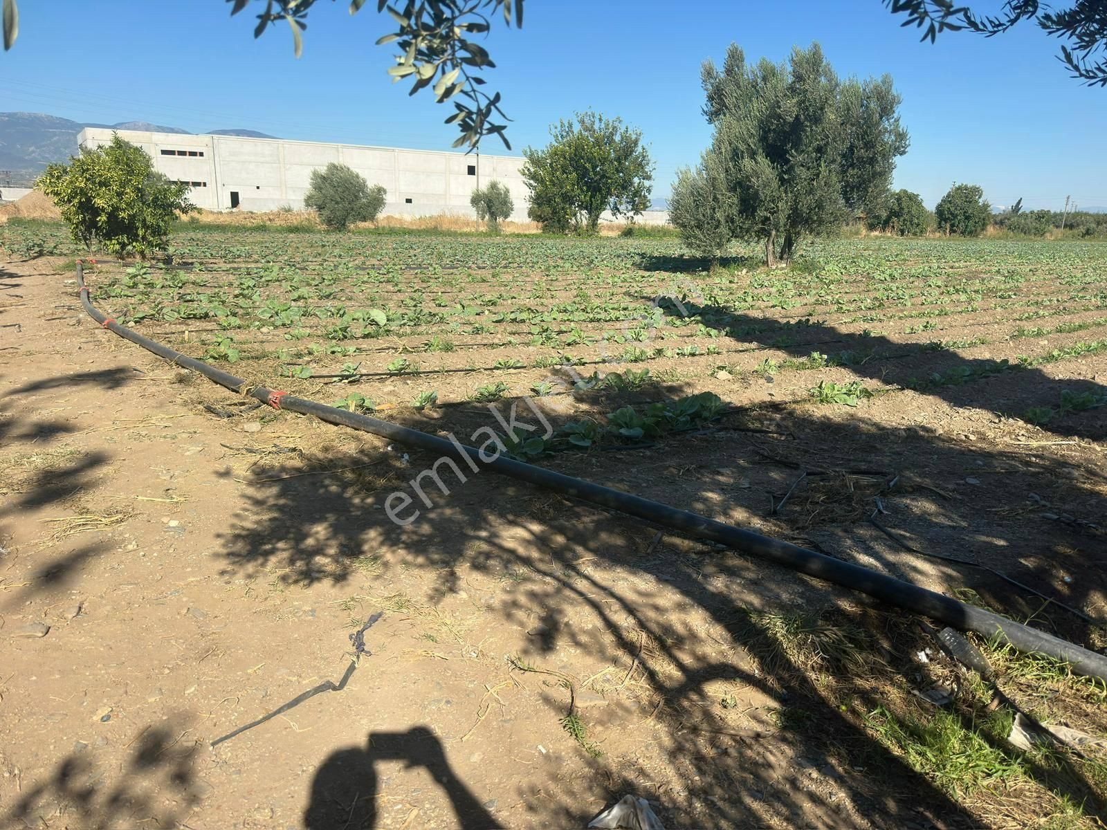 Turgutlu Satılık 9. Mıntıka 11.385m2 Sanayi İmarlı Arsa Yola Sıfır - Görsel 2