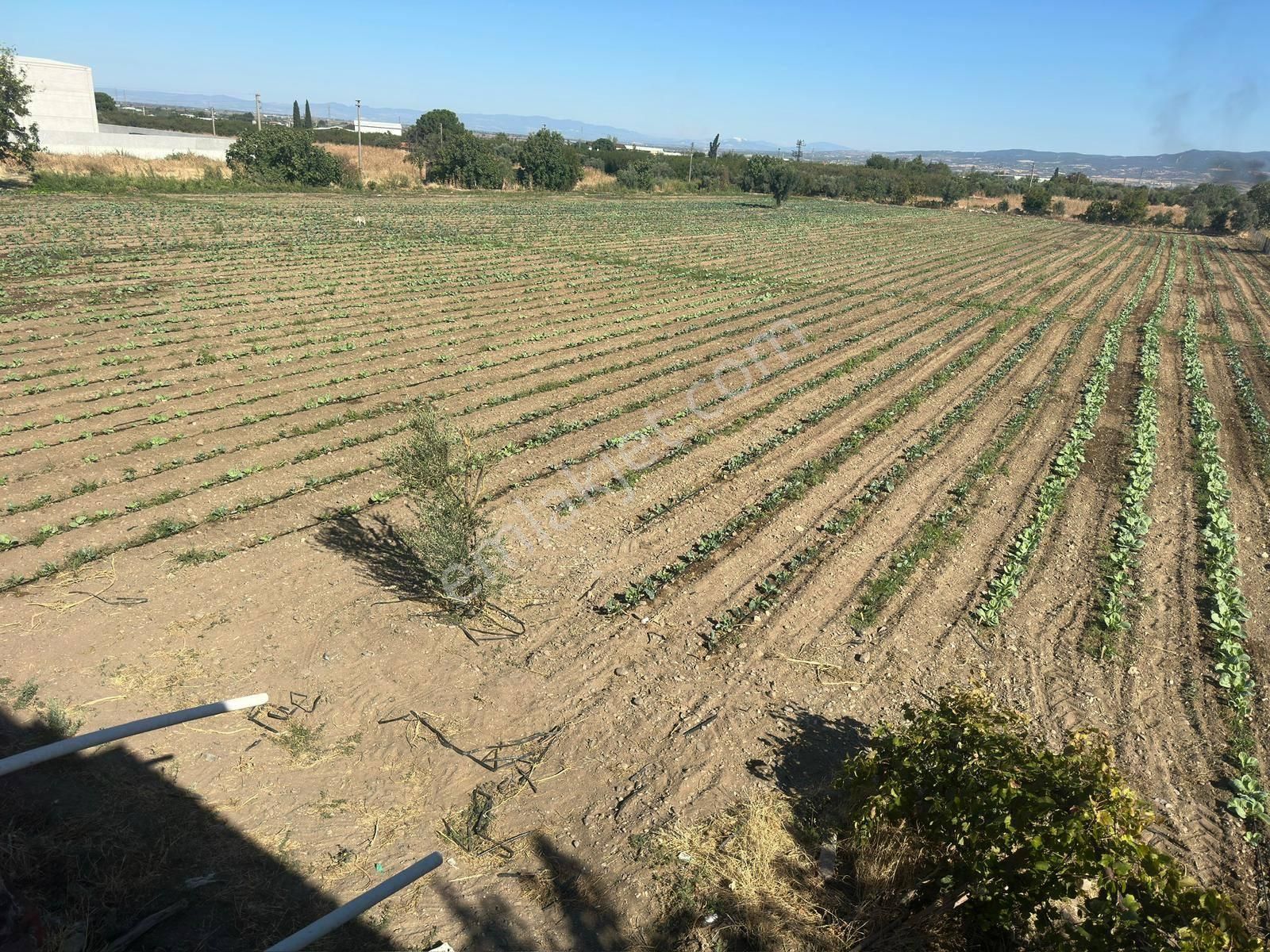 Turgutlu Satılık 9. Mıntıka 11.385m2 Sanayi İmarlı Arsa Yola Sıfır