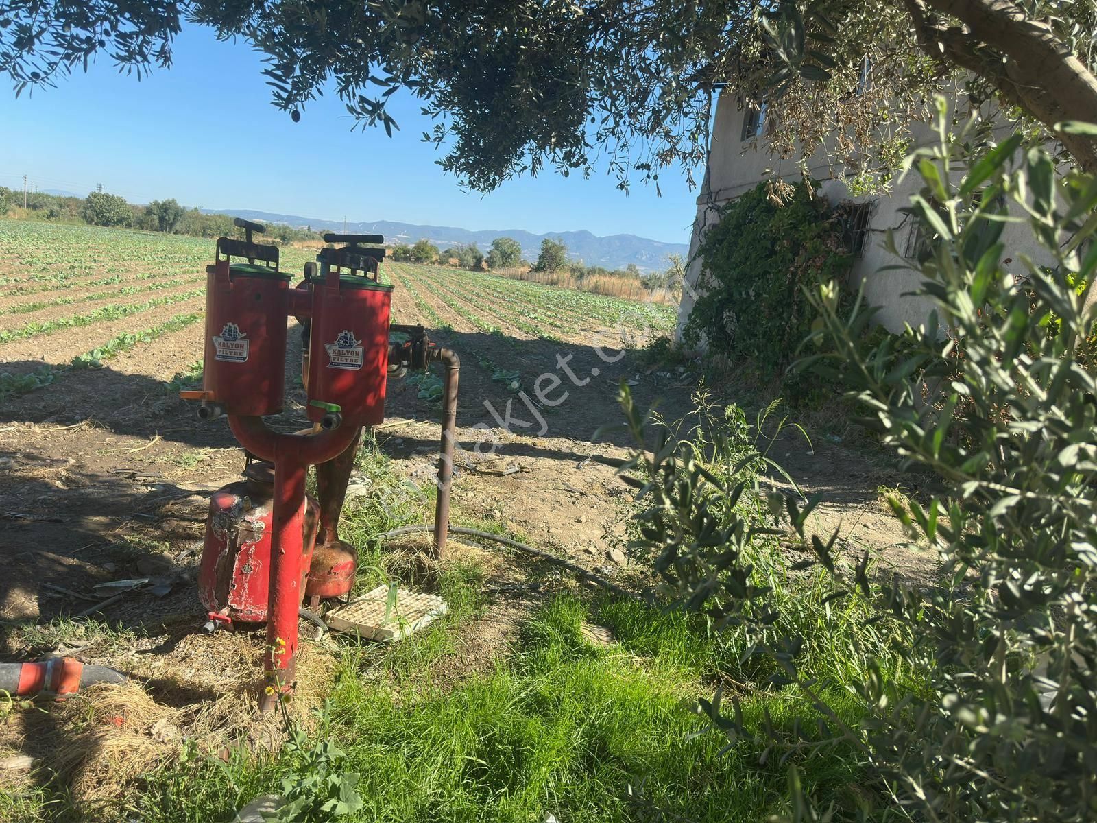 Turgutlu Satılık 9. Mıntıka 11.385m2 Sanayi İmarlı Arsa Yola Sıfır - Görsel 4