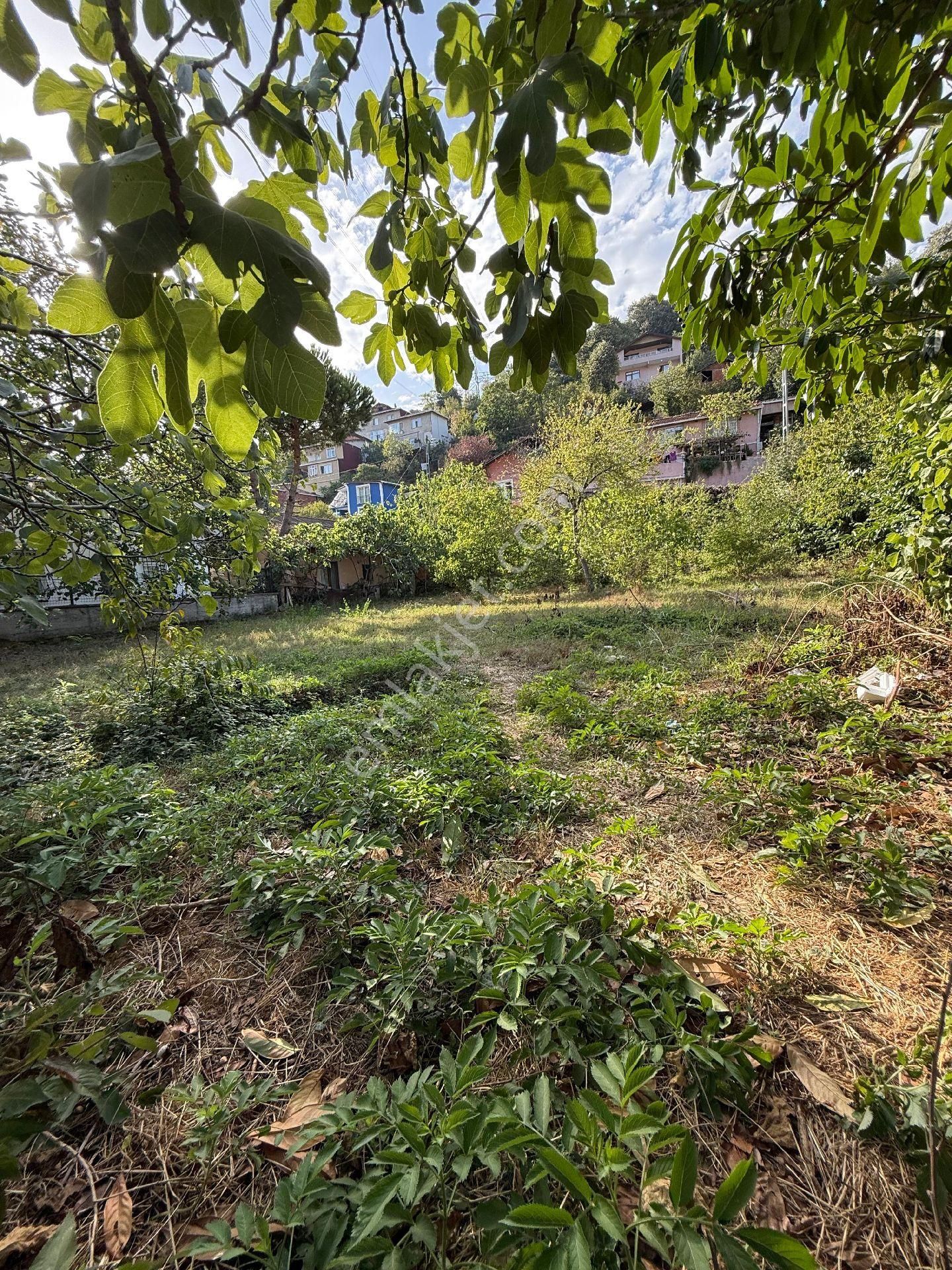 Satılık Beykoz Tokatkoyu De Arsa - Görsel 5