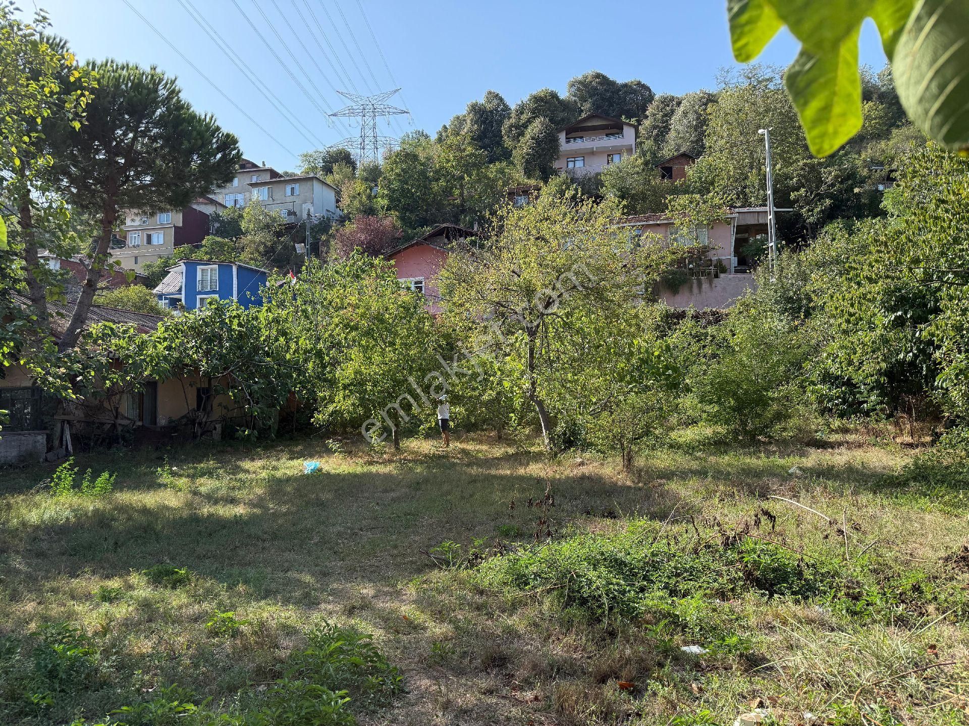 Satılık Beykoz Tokatkoyu De Arsa