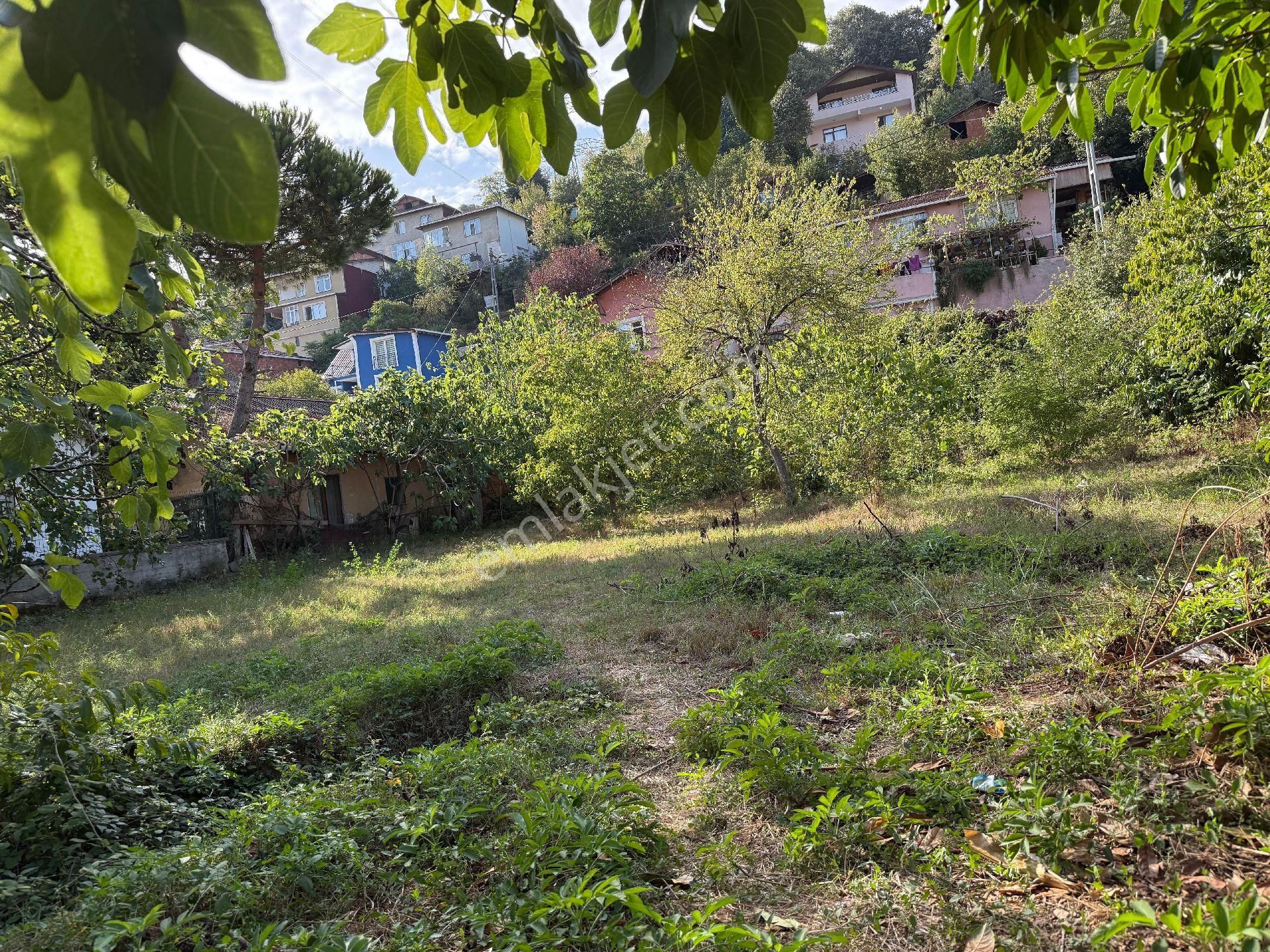 Satılık Beykoz Tokatkoyu De Arsa - Görsel 6