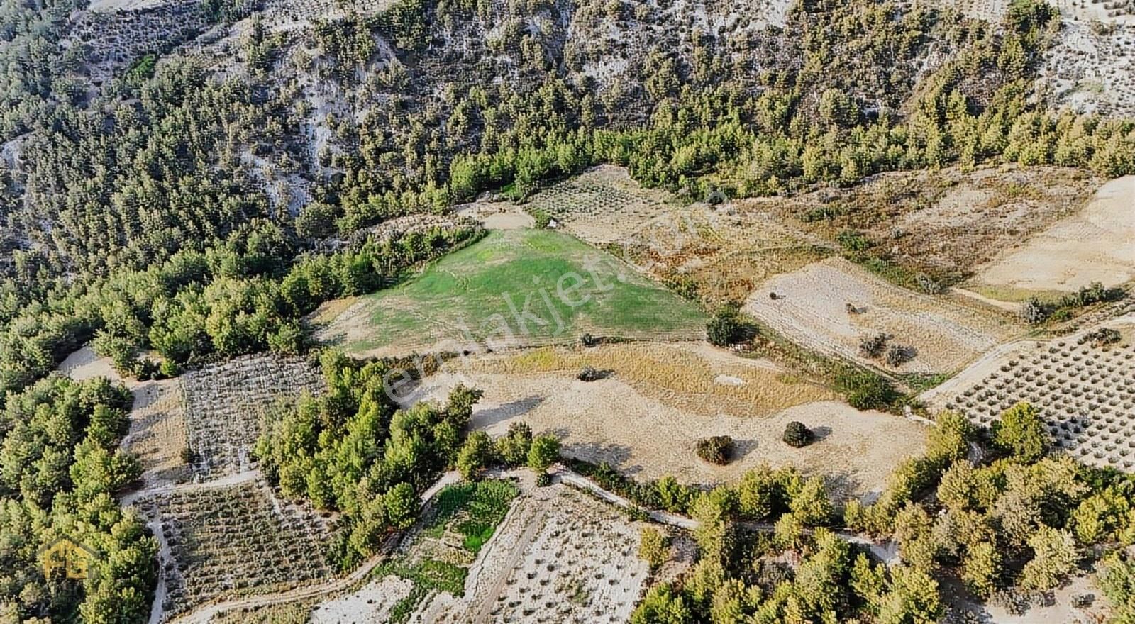 Fethiye Seydikemer Yakada 37.590 M² Müstakil Tapulu Tarla - Görsel 11