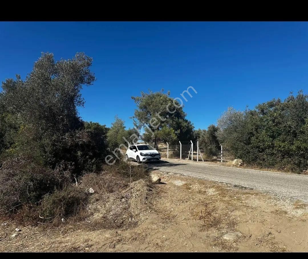 Kelepir Gol Goren Hobi Bahcelik Yerler - Görsel 6