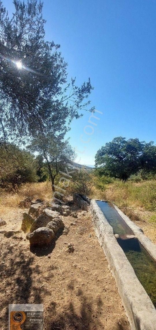 Dikili Nebiler Köyünde Denizi Gören 6.410metrekare İçinde Suyu Olan Tarla - Görsel 16