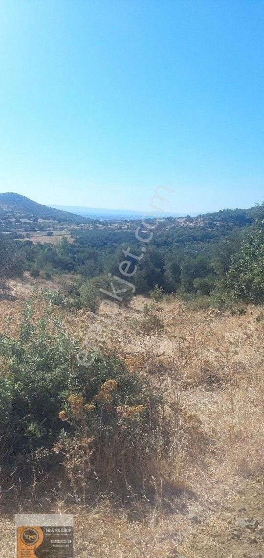 Dikili Nebiler Köyünde Denizi Gören 6.410metrekare İçinde Suyu Olan Tarla - Görsel 3