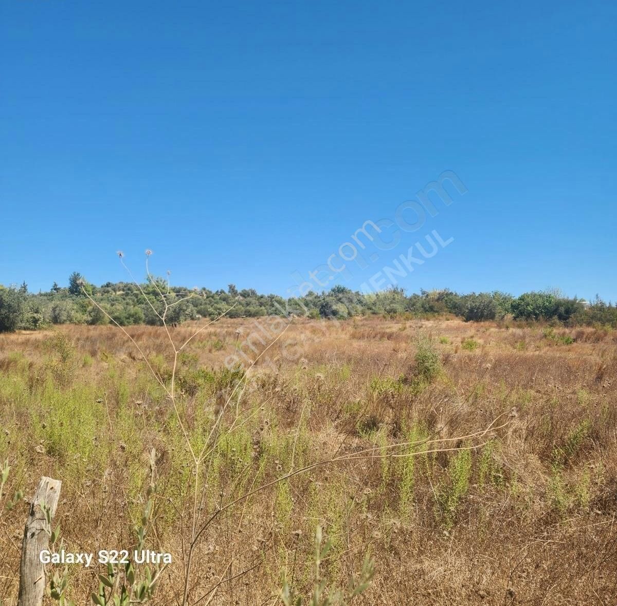 Köy Yerleşime Yakın - Görsel 5