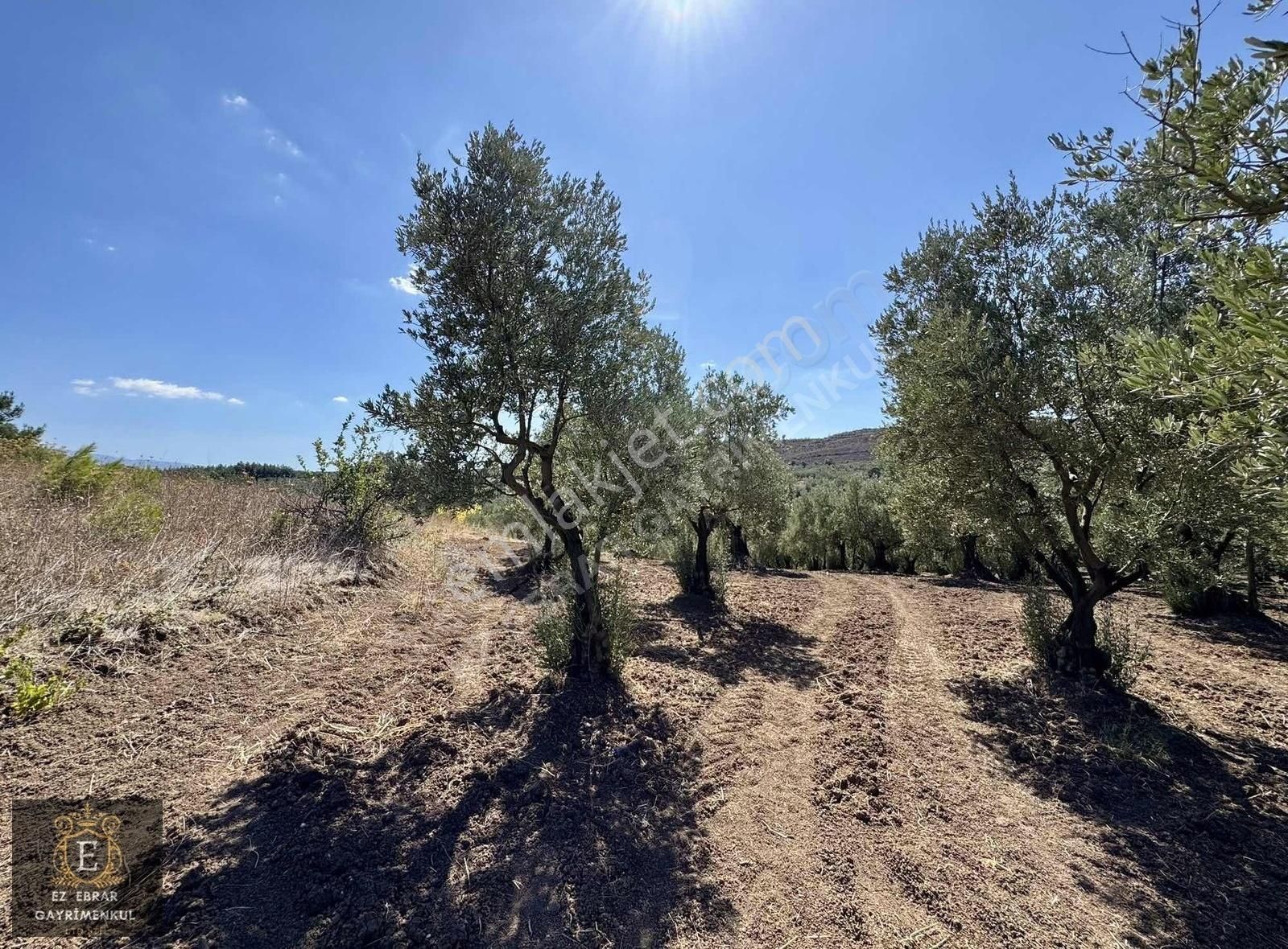 Mudanya Yörükali'de 3150 M2, Deniz Manzaralı Yatırımlık Arazi - Görsel 3
