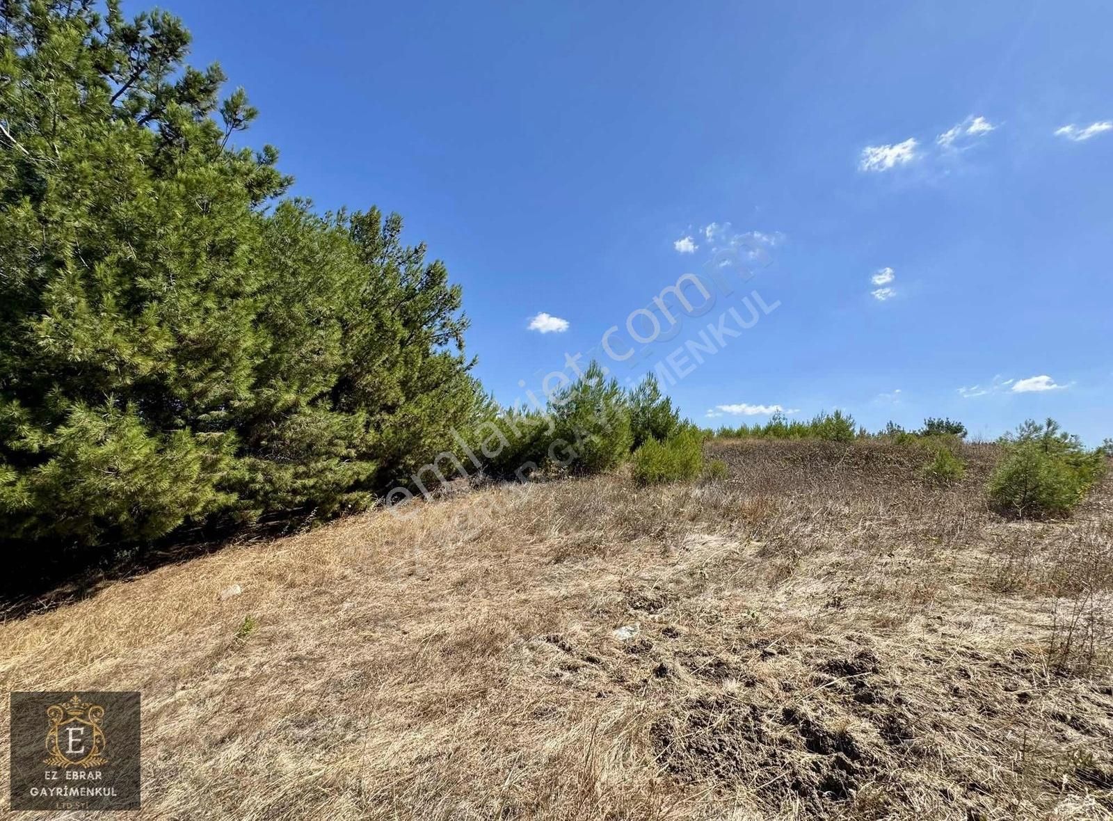 Mudanya Yörükali'de 3150 M2, Deniz Manzaralı Yatırımlık Arazi - Görsel 19