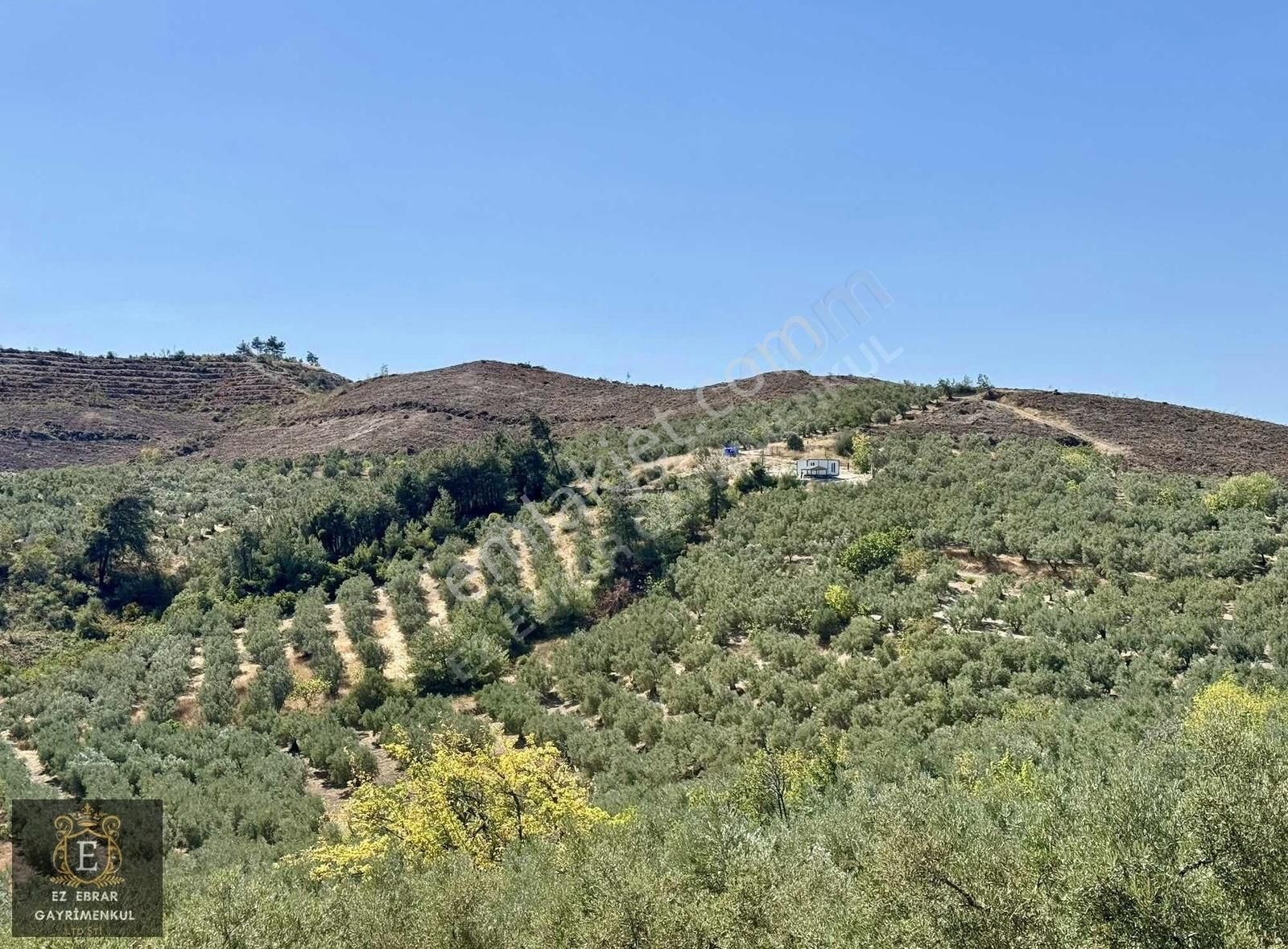 Mudanya Yörükali'de 3150 M2, Deniz Manzaralı Yatırımlık Arazi - Görsel 24