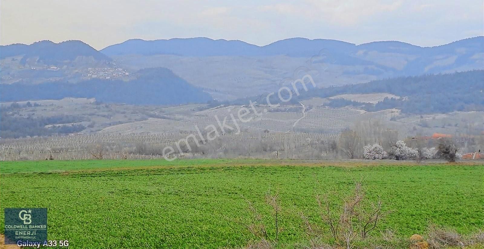 Geyve Yatırımlık Tarla! 8.243 M²,köy Merkezine 100 Metre - Görsel 8