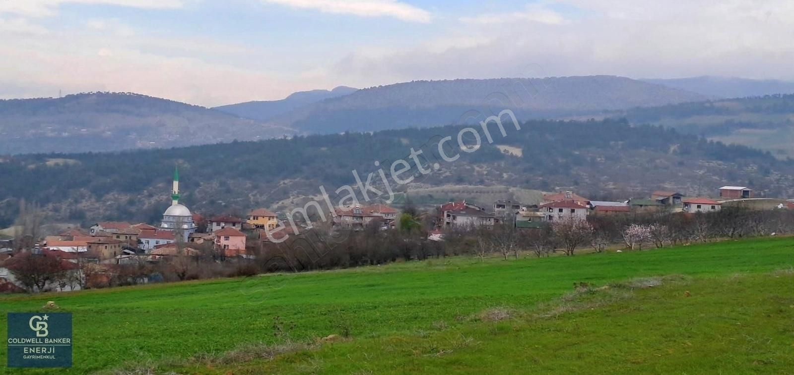 Geyve Yatırımlık Tarla! 8.243 M²,köy Merkezine 100 Metre