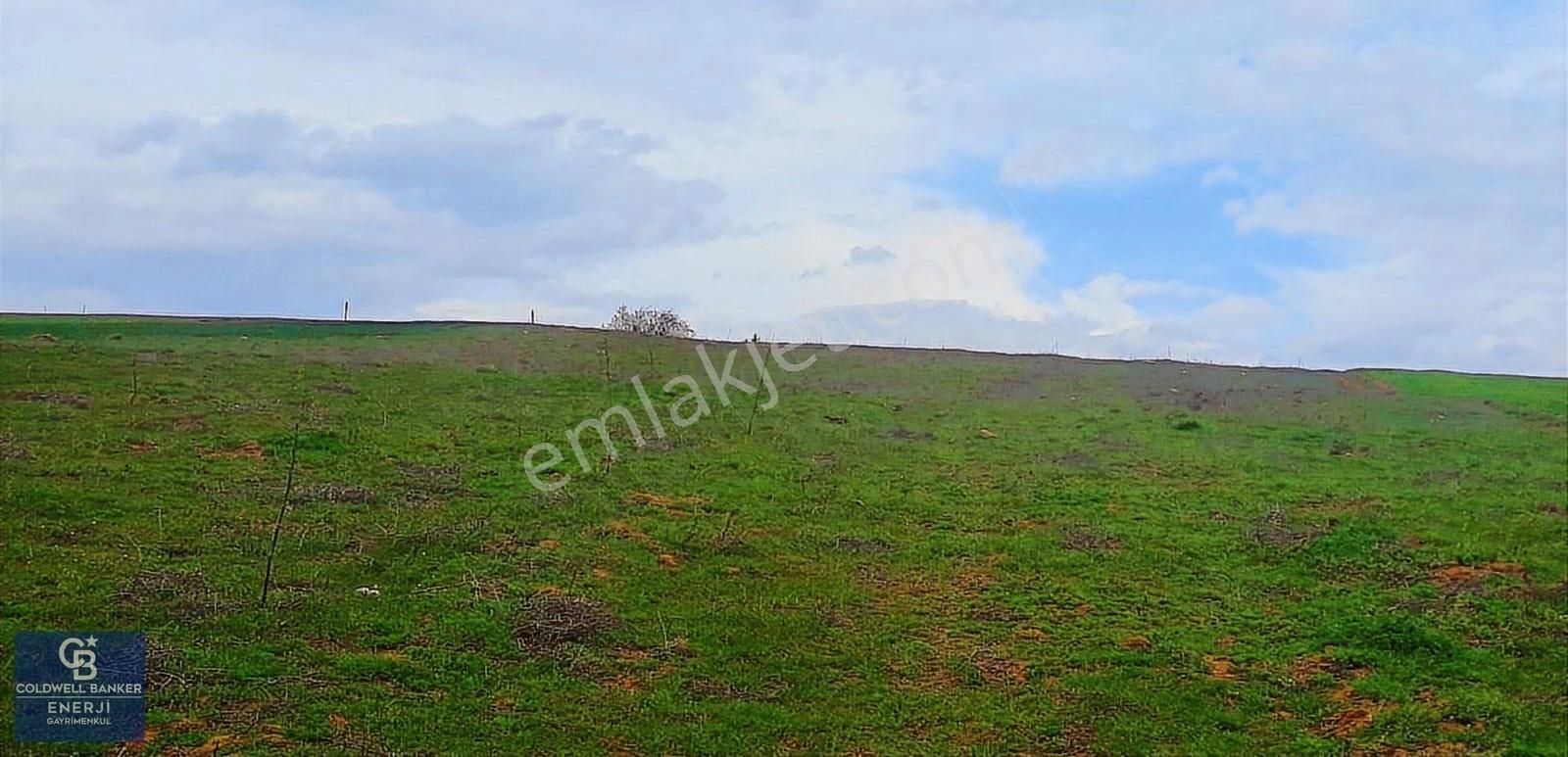 Geyve Yatırımlık Tarla! 8.243 M²,köy Merkezine 100 Metre - Görsel 6