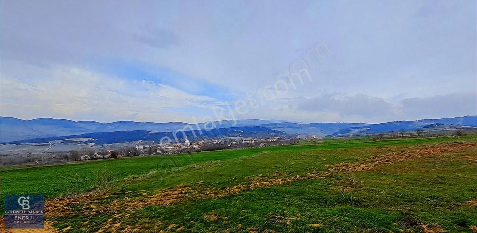 Geyve Yatırımlık Tarla! 8.243 M²,köy Merkezine 100 Metre - Görsel 3