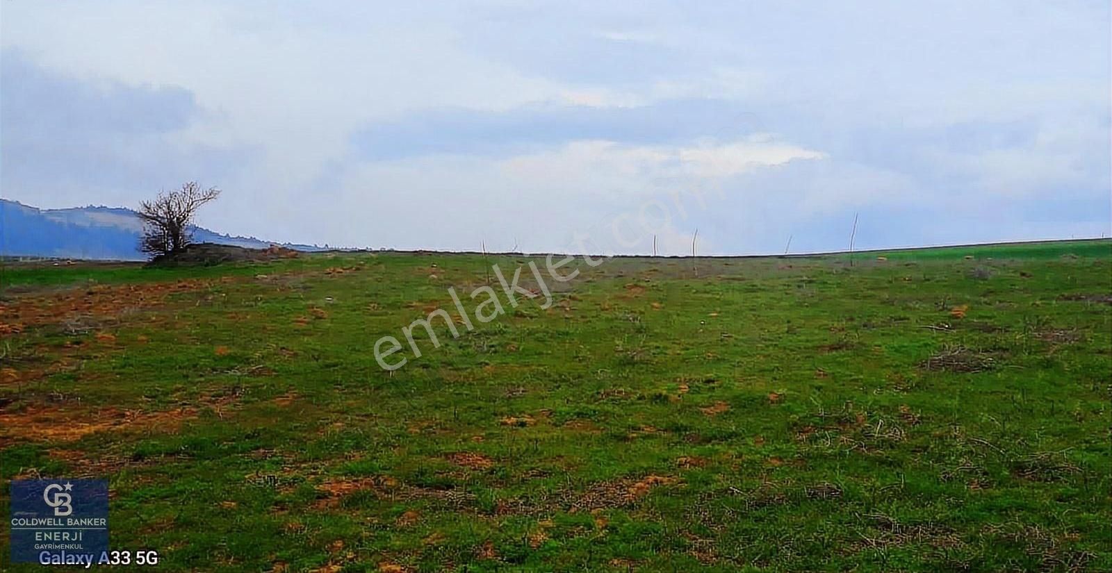 Geyve Yatırımlık Tarla! 8.243 M²,köy Merkezine 100 Metre - Görsel 7