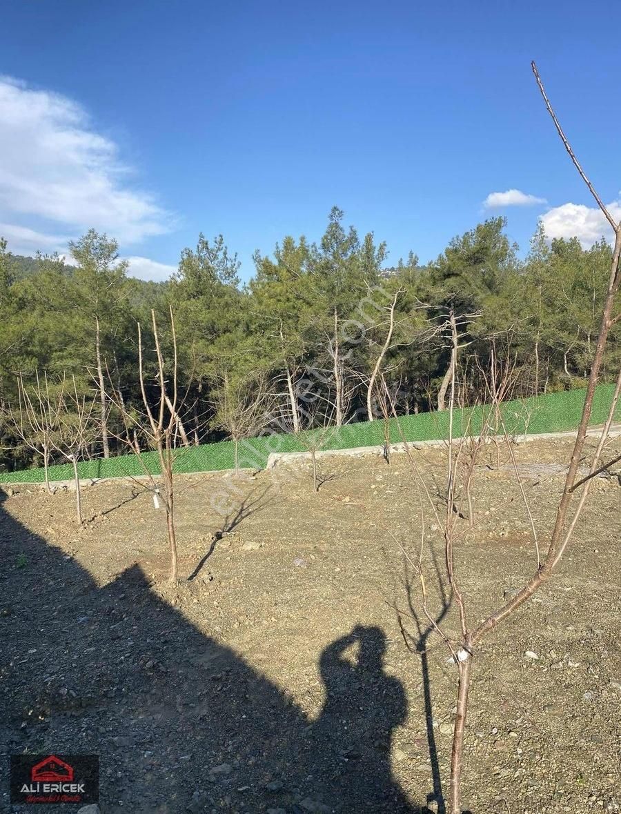 Kemalpaşa Ansızca"da Doğa Huzur Sakinlik Arayanlara Bahçe - Görsel 9