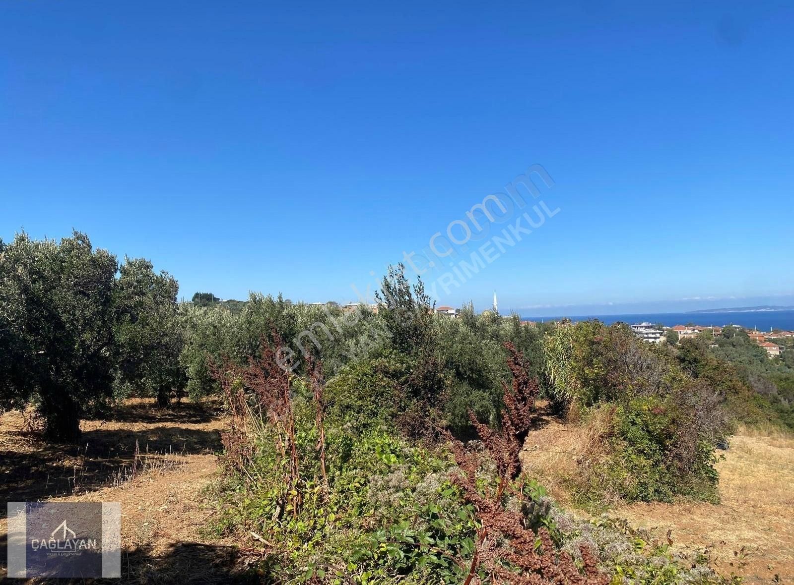 Mudanya Eğerce'de 4500 M'2 Deniz Manzaralı Satılık Tarla - Görsel 9